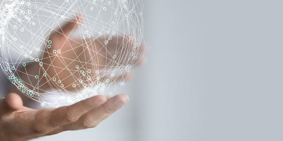 Economic Insights