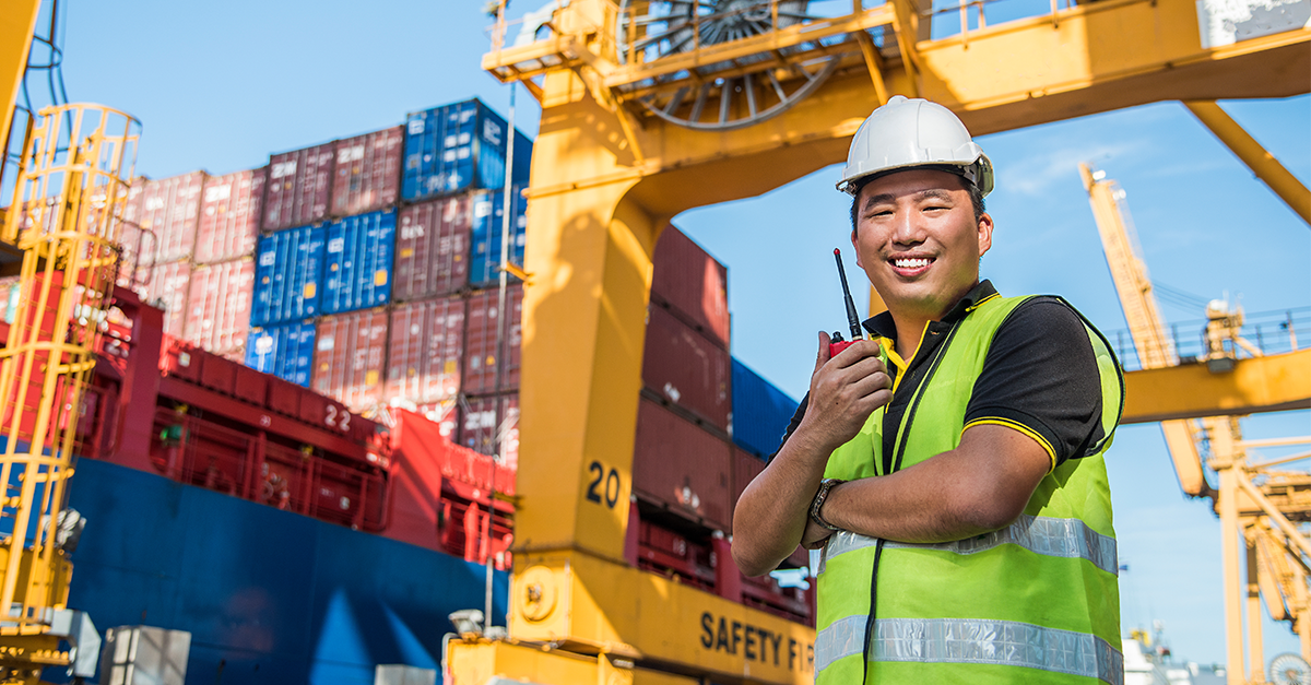 Forwarder coordinating international ocean freight forwarding services for companies in a cargo shipyard